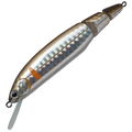 Scale Ayu H51