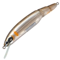 Translucent Ayu TR51