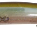 ： Ghost Minnow