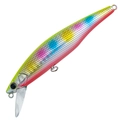 Chart Back Rainbow H-537