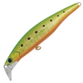 Green Gold Sardine MG-533
