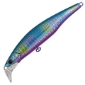 Blue Back Rainbow H-535