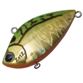 Green Gold Slipmouth MG-141