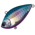Blue Back Rainbow H-535