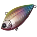 Chart Back Rainbow H-537