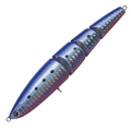 Red Belly Sardine H-12