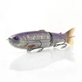 Purple Cisco