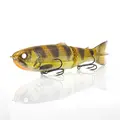 Walleye