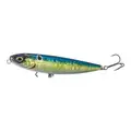 American Shad