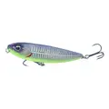 Yellow Belly
