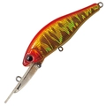 Abalone Summer Beetle A-105