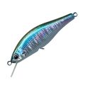 Abalone Smelt ABS