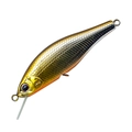 Stream Shad HMSS