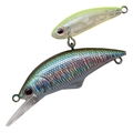 Smelt #5 ST95-5