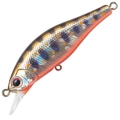 Amago Orange Belly MG-441
