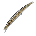 Coastal Anchovy H751