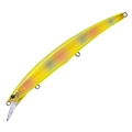 Spanish Mackerel Gold AL-429