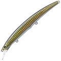 Coastal Anchovy H-751