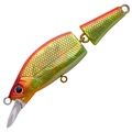 Abalone Summer Beetle A-105