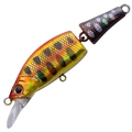 Abalone Red Gold Yamame A-94
