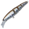 Brown Shad MG-64