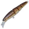 Loach SL-47
