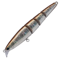 Brown Shad MG-64