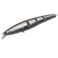Brown Shad MG-64