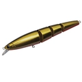 Gold Black Orange Belly AL-38