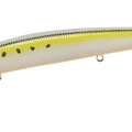 Golden Sardine