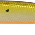 Golden Sardine II