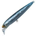 Magma Anchovy MG68