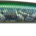 YGB Sardine