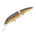 Loach SL-47
