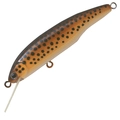Loach SL-47