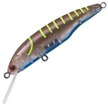 Clear Shrimp T-488