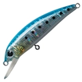 Sardine MG-10
