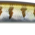 Natural Barracuda Glow