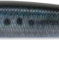 Real Sardine