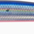 Flash Mazume Sardine