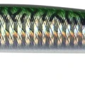 Mackerel HD