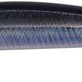 Real Anchovy