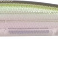 Ghost Aji