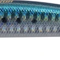 Sardine Ultra