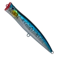 Sardine MG-10