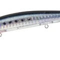 Chigomori Sardine
