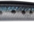 Sardine ND
