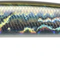 Sardine Noir