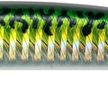Green Mackerel