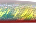 Rainbow RB